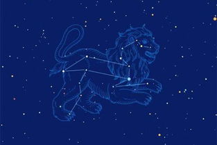 12星座中，哪个星座的男神是狮子座？