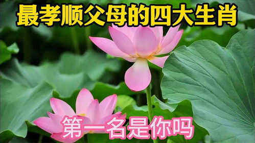 四点一：雨后的温暖