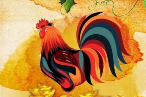 十二生肖鸡男情感运势如何，有没有桃花运？