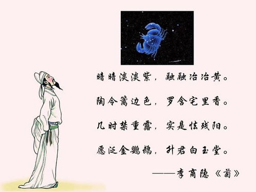 哪个星座的诗句里藏着易诗风笔下的浪漫情意？