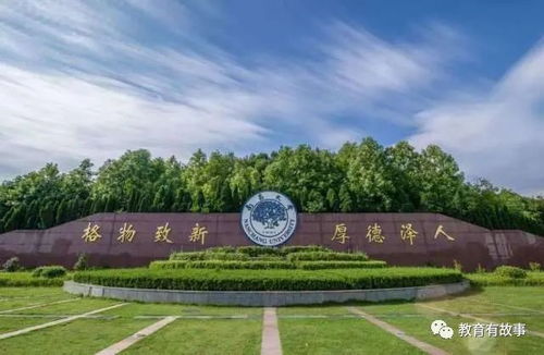校门口的炎热闹与静默