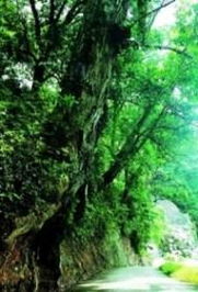 最佳游玩时候与行路信息