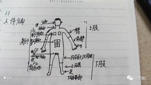 那些奇奇怪怪的名字组合（慎用！）