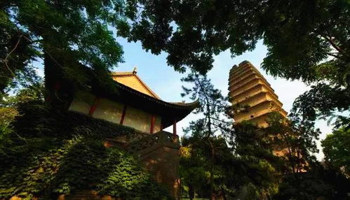 城市更新后：慈氏塔变年轻了