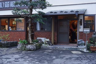一、 旧址的前世：从供销社到国美二店的奇怪旅程