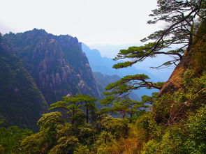 三、  疫情防控与文明游玩：在口罩下呼吸新鲜空气