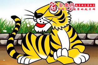 属虎人今日运势如何，吉运有哪些？