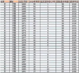 定制化觉得能：你的专属运势指南