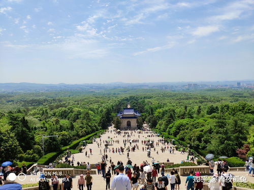 宁津旅游指南：一场荒诞不经的土味冒险