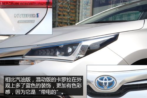 2026年天气预报：全是惊喜