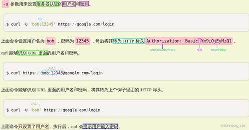 DNS：寻龙点穴之术
