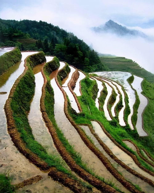 走进松瀑之巅——一路哭笑不得