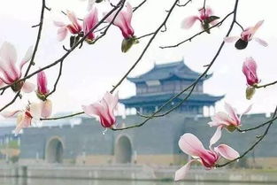 穿越时空，邂逅古代文人墨客