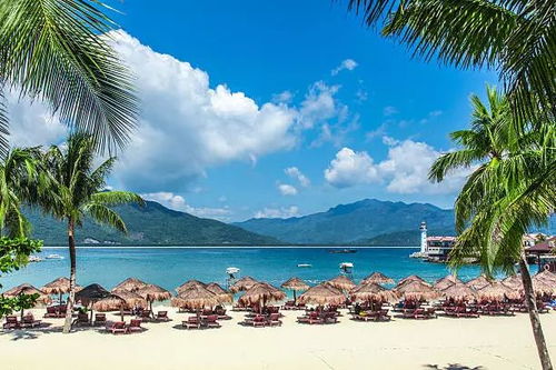 海口：海滨度虚假的宁静天堂