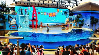 三亚旅游防坑指南：2026年最新版！看完直接哭晕在厕所