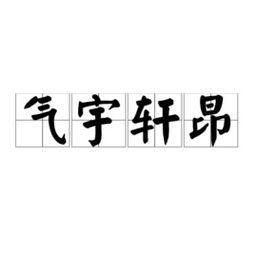 姓相男宝宝取名相宇轩：寓意胸怀宇宙， 气宇轩昂——一场名字的迷乱与期盼