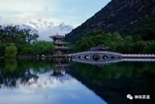 Day 2：玉龙雪山之行——一场冰与火的较量