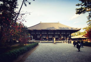 一场莫名其妙的朝圣：草房到宋庄的特色旅游路线到底怎么搞？