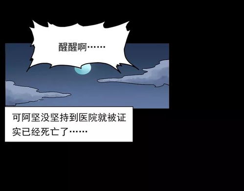 星座配方：午夜笑声调和指南