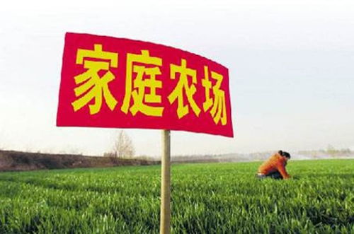家庭农场是否可yi盖房子,有什么标准