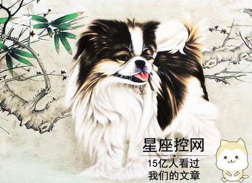 属狗的人2026年能否遇到真正的贵人，这其中的贵人又指的是什么？