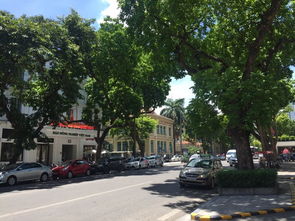 老城区（Old Quarter）