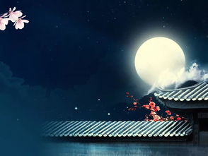 那是一个中秋的夜晚