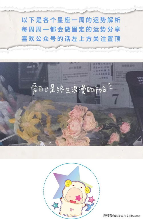 五、案例速递：从职场新手到职场老油条的悲喜剧