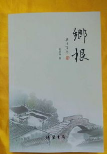 乡村风水,有关农村的风水小说