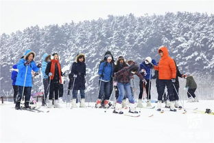 白清寨滑雪场（沈阳体育运动学院附近）