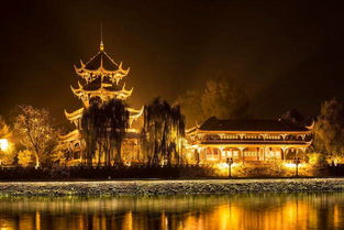 夜幕降临， 北京的灯光像是被谁偷走了的星星，乱七八糟地撒在胡同口