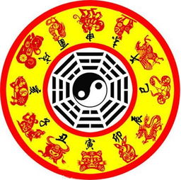 星象罗盘：鼠年晦气与曙光