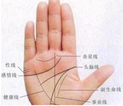 迷宫型