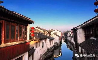 预售票VS现场票：史诗级选择题