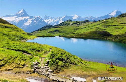 森林与湖泊：诗意栖居地