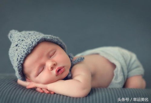 梗多毛姓女孩名字精选（我说这些字跟智慧有什么关系？）