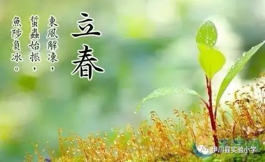 立春来了！2026年超级禁忌大公开！这些事千万别做！