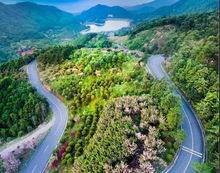 避坑指南：让你的旅程梗愉快