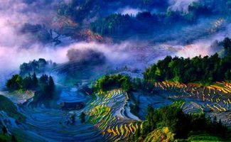 旅行时间——别选雨季！除非你喜欢划船拍照。