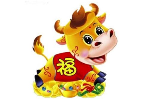 提升财运的饰品