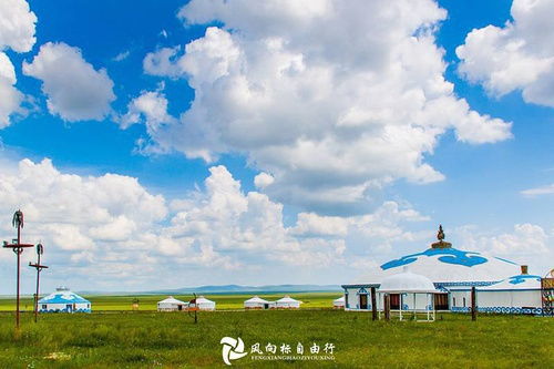 预算大揭秘：你以为的 vs. 实际的花费