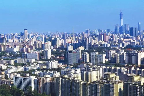 三、文艺年轻群体专属：拍照打卡 vs. 现实碰壁记录片