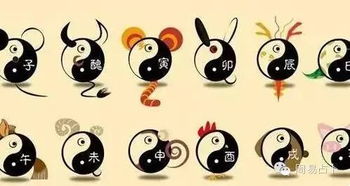 黑肖指的是哪几个生肖？南方肖又是指哪些生肖？