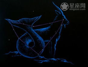 ：了解生肖蛇摩羯座男生的性格特点，让你更良好地与他们相处！