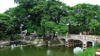 古劳水乡：威尼斯分尼