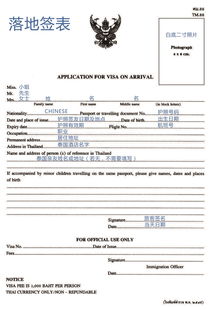 入境卡：这张纸比前任的心还难懂