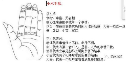 紫微斗数倪海厦的《天纪》中，如何详细解读命盘的12宫？
