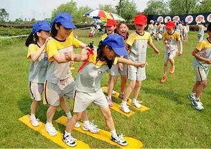 皇家海洋乐园：湿身大作战？