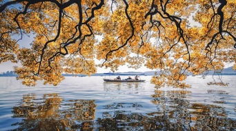 左顾右盼， 风景乱了眼