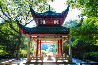 爱晚亭：月色下的沉思 (以及蚊子的嗡嗡声)